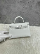 Hermes сумка PR273071 11