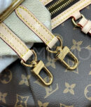 Louis Vuitton сумка PR503578 44