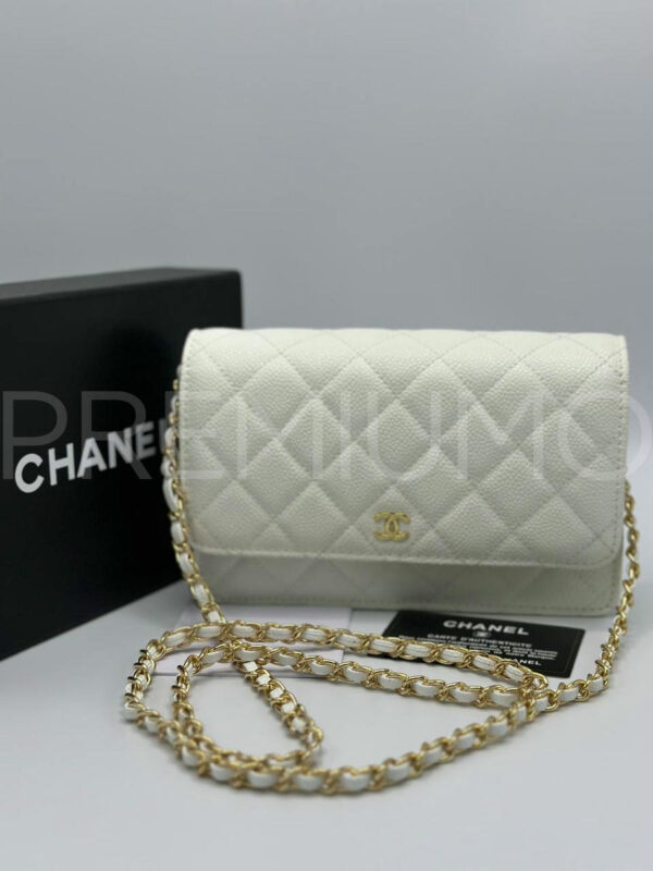 Chanel сумка PR234814