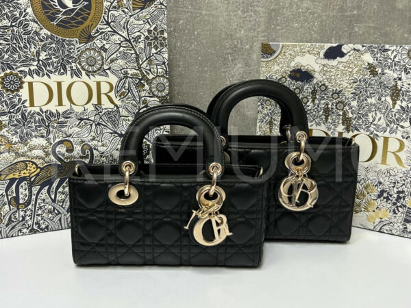 Christian Dior сумка PR682868 11