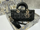 Christian Dior сумка PR531548 8