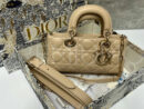 Christian Dior сумка PR694027 15
