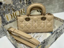 Christian Dior сумка PR694027 16