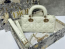 Christian Dior сумка PR539373 16