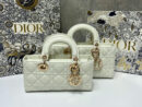 Christian Dior сумка PR539373 19