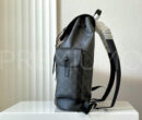 Louis Vuitton рюкзак PR673636 6