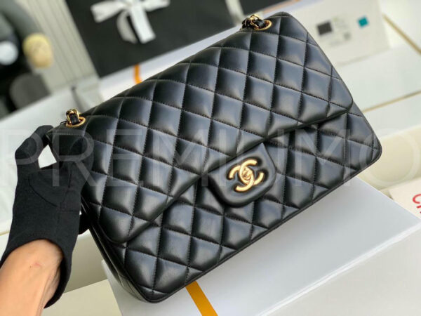 Chanel сумка PR254483 25