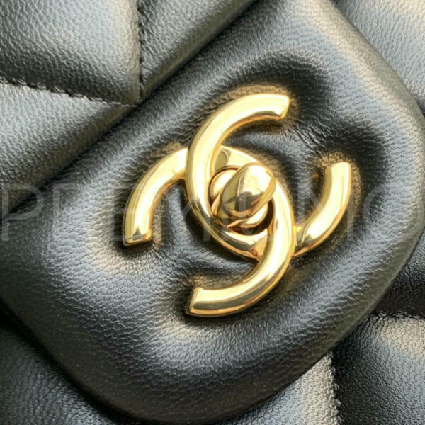 Chanel сумка PR254483 29