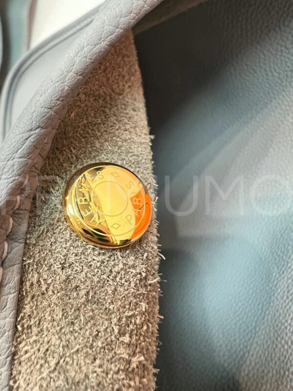 Hermes сумка PR157223 6