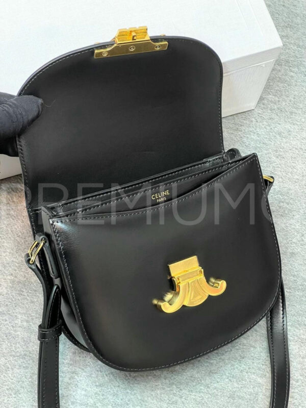 Celine сумка PR214605 4