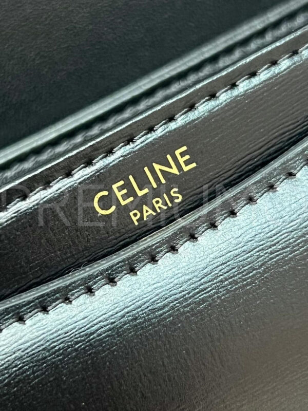 Celine сумка PR214605 9