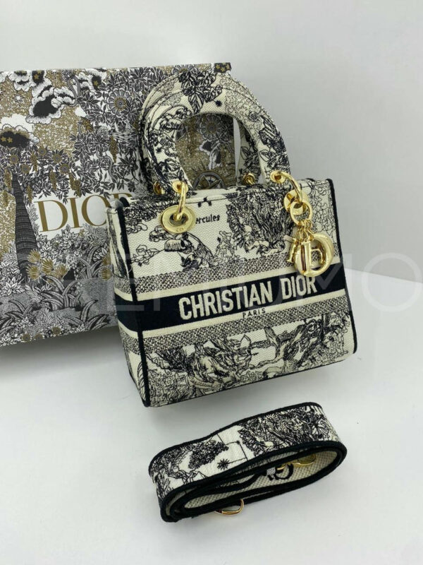 Christian Dior сумка PR338899 2