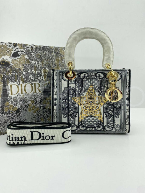 Christian Dior сумка PR249998