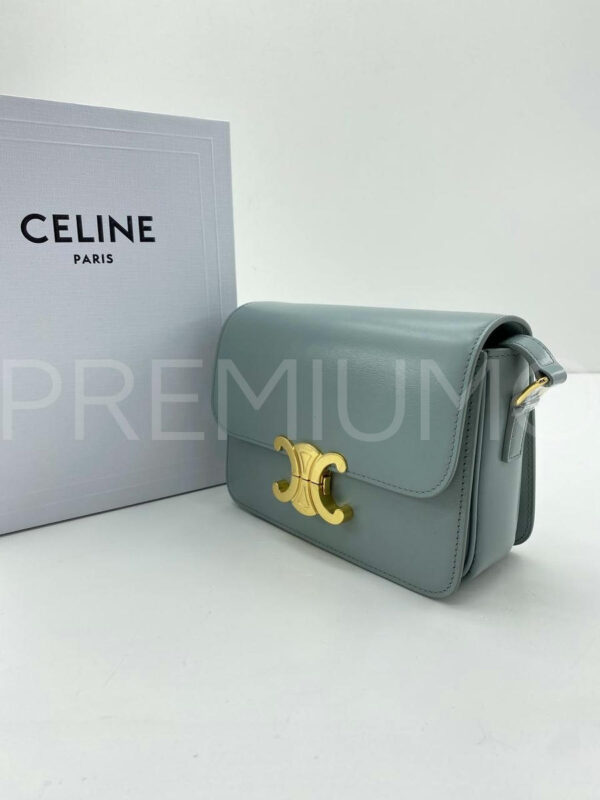 Celine сумка PR301528 3