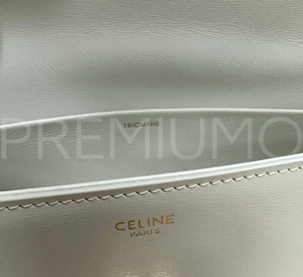 Celine сумка PR615980 6