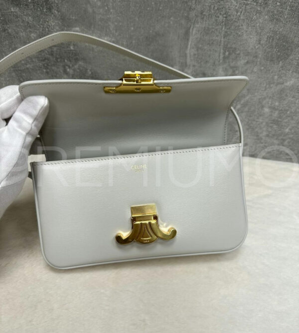 Celine сумка PR615980 5
