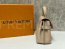 Louis Vuitton сумка PR668153 47