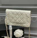 Chanel сумка PR838807 7