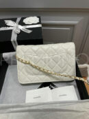 Chanel сумка PR418039 5
