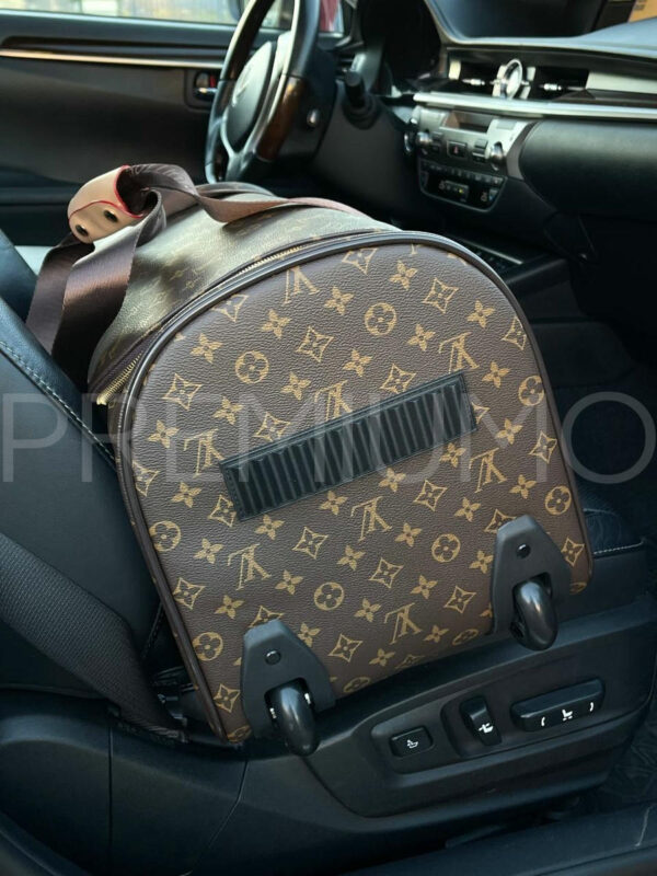 Louis Vuitton сумка PR960799 3