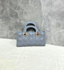Christian Dior сумка PR496817 23