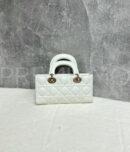 Christian Dior сумка PR539373 23