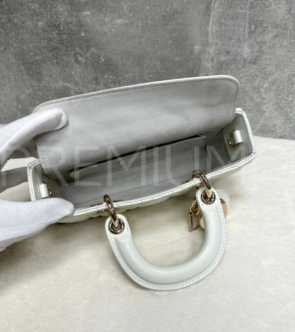 Christian Dior сумка PR539373 12