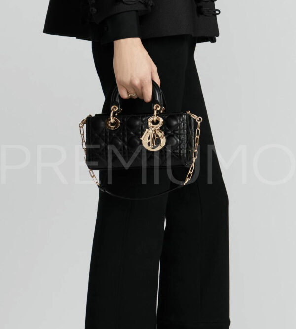 Christian Dior сумка PR682868 21