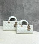 Christian Dior сумка PR539373 20