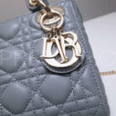 Christian Dior сумка PR356600 10