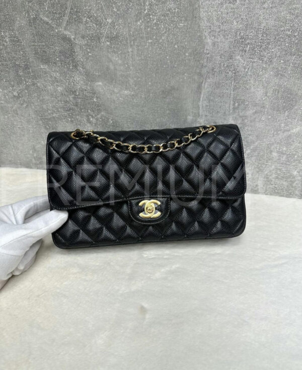 Chanel сумка PR136725 23