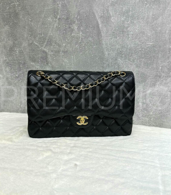 Chanel сумка PR254483 13