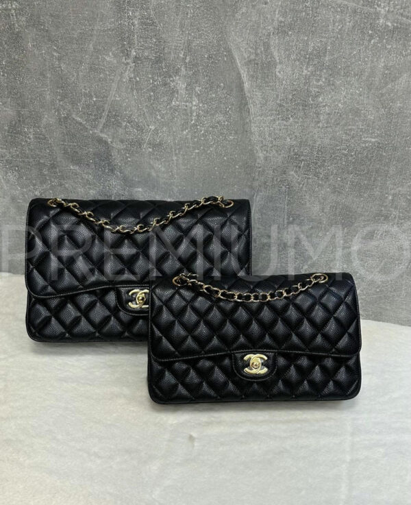 Chanel сумка PR136725 33