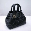 Christian Dior сумка PR315797 13
