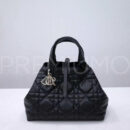 Christian Dior сумка PR315797 12