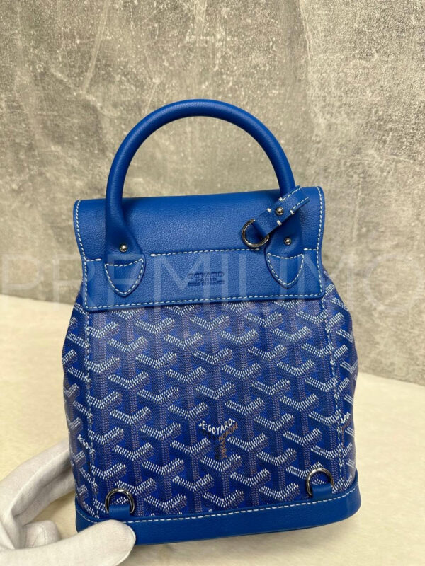 Goyard рюкзак PR179050 7