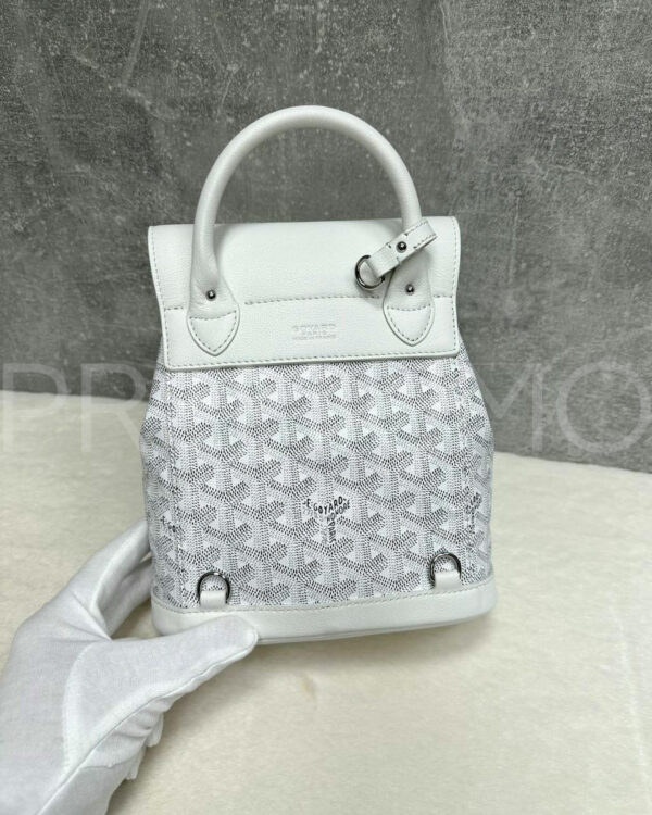 Goyard рюкзак PR560010 6