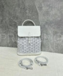 Goyard рюкзак PR560010 11