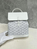 Goyard рюкзак PR560010 12