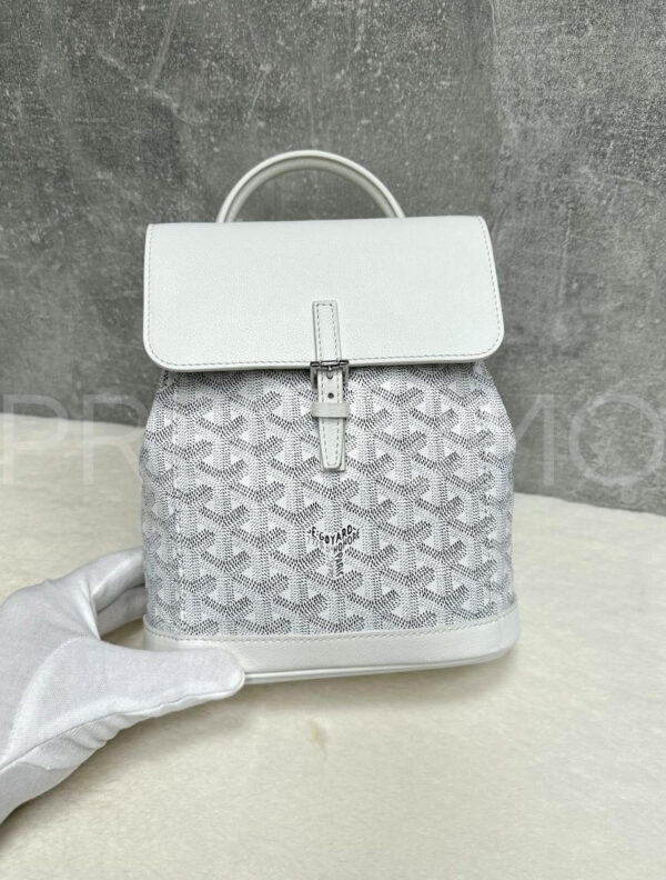 Goyard рюкзак PR560010 2