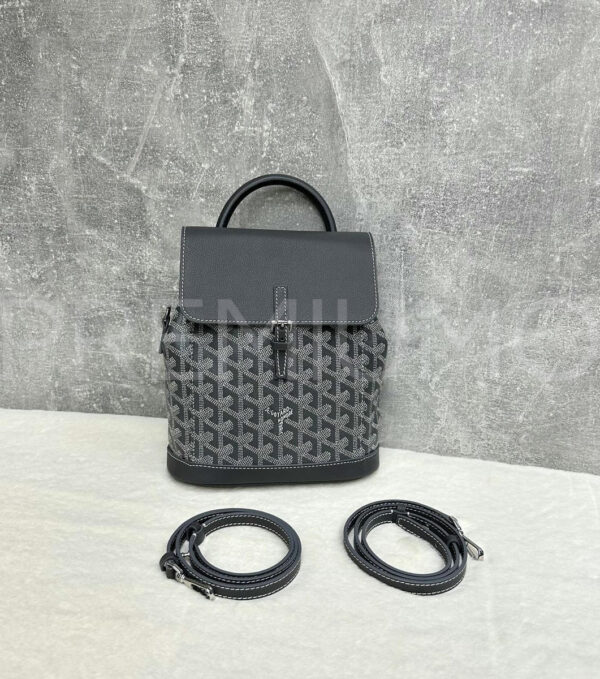Goyard рюкзак PR462014