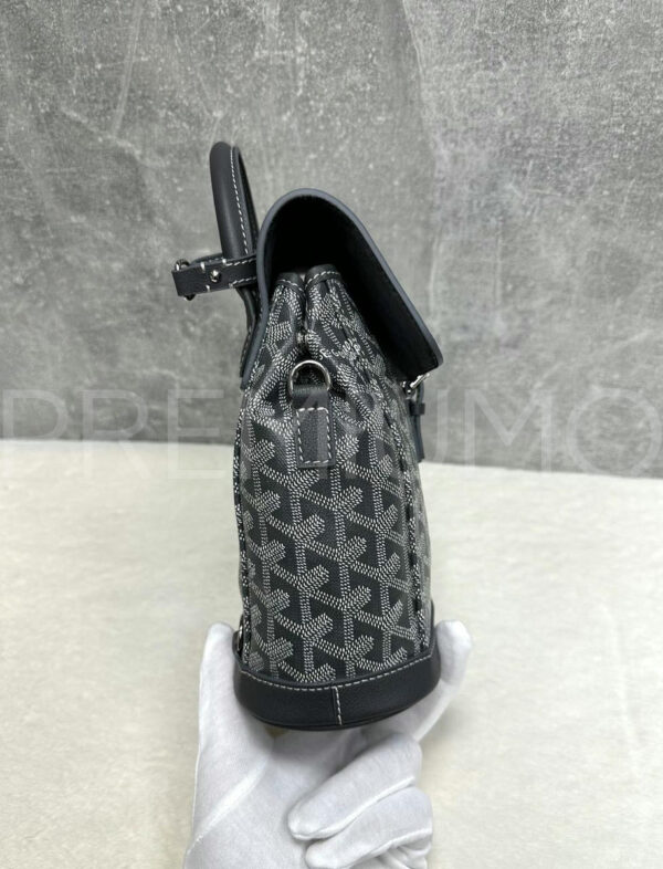 Goyard рюкзак PR462014 4