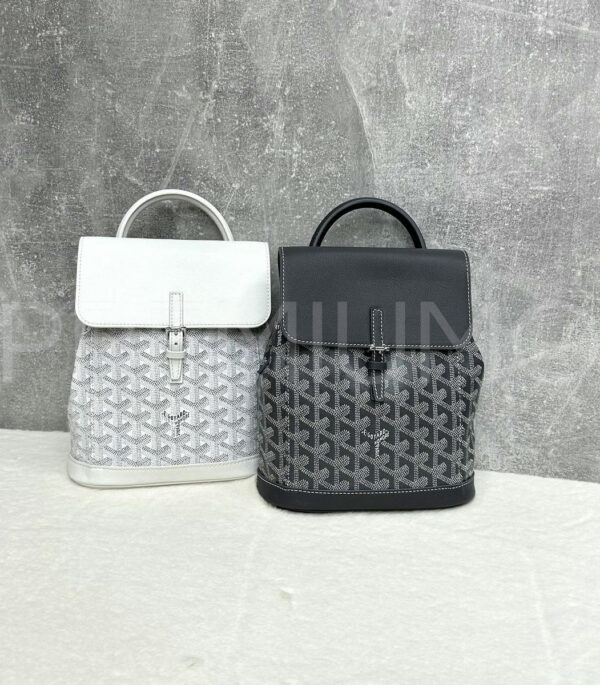 Goyard рюкзак PR462014 10