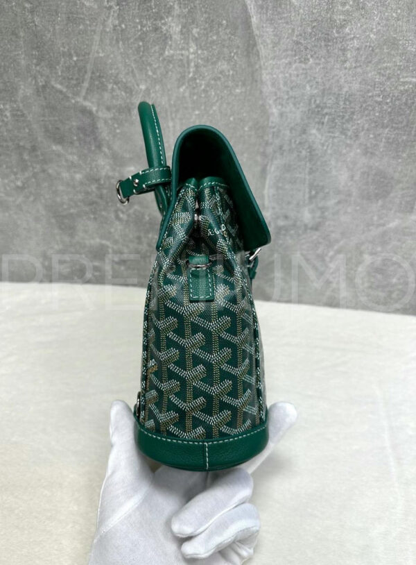 Goyard рюкзак PR442935 6