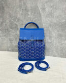 Goyard рюкзак PR179050 12