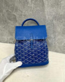 Goyard рюкзак PR179050 13