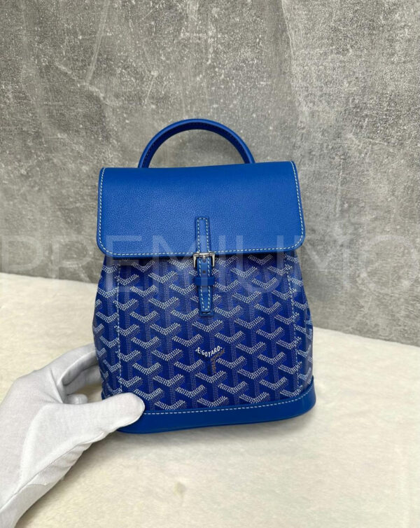 Goyard рюкзак PR179050 2