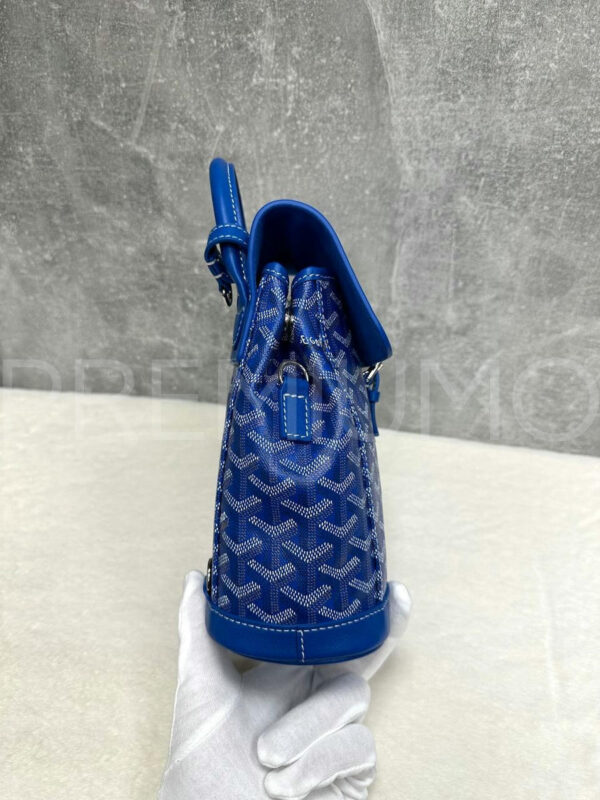 Goyard рюкзак PR179050 4