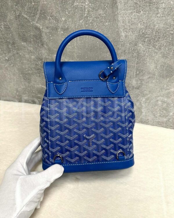Goyard рюкзак PR179050 6