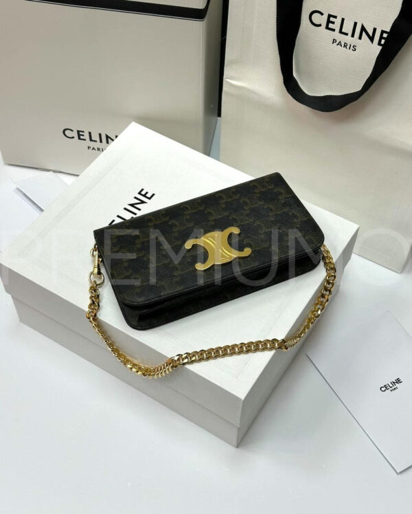 Celine сумка PR205055 13